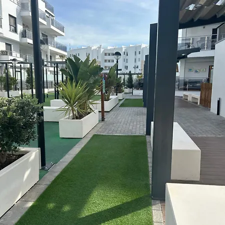 Aguacate Costa Tropical * Motril